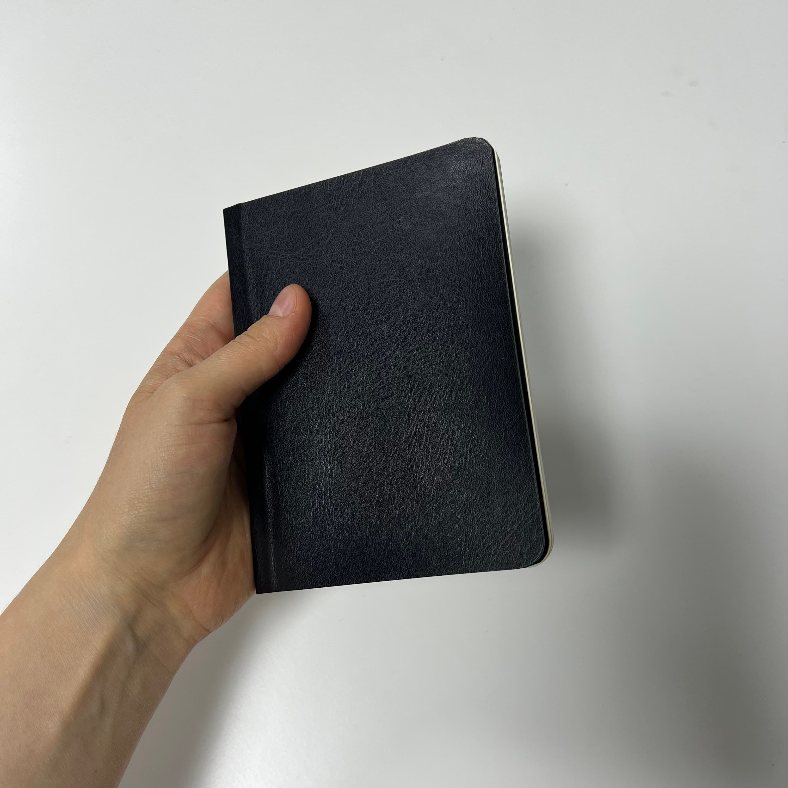 Focus Pad A6 ținut în mână